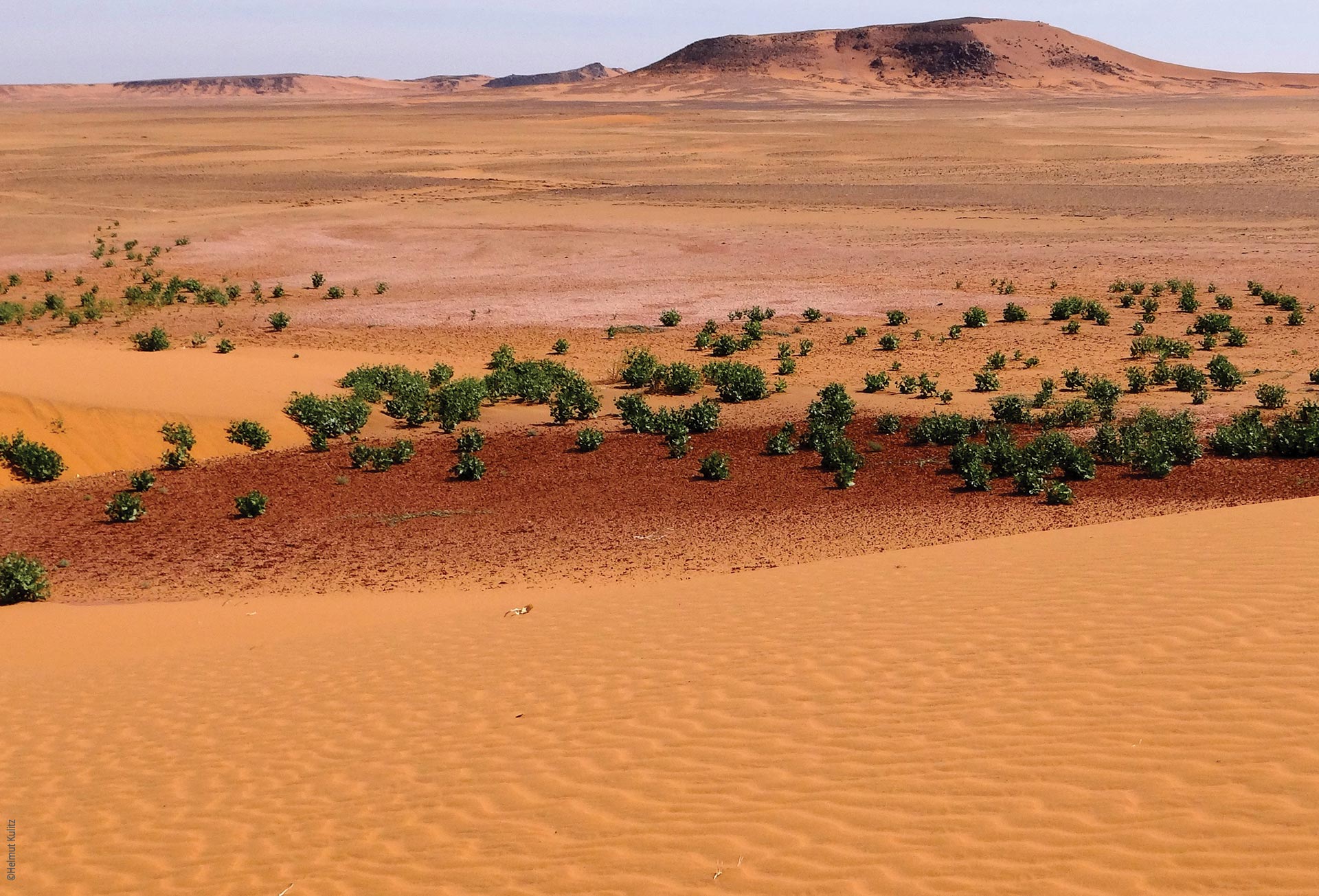 A camel caravan moving across large sand dunes in the Sahara